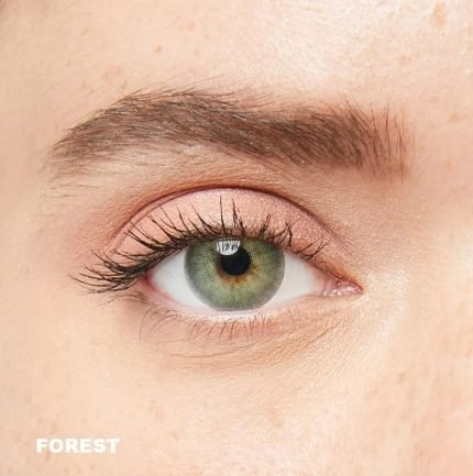 iconic forest